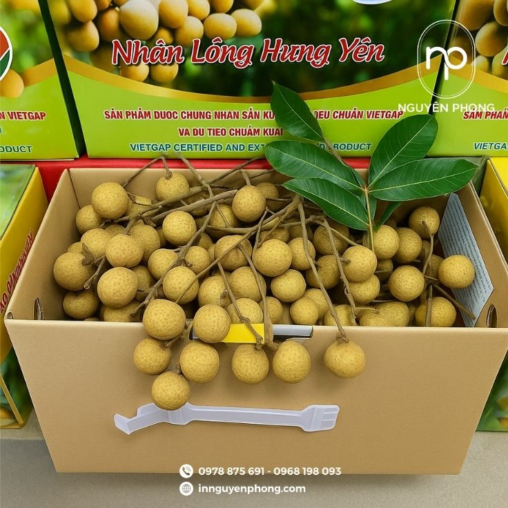 Mẫu thùng carton đựng nhãn tiêu chuẩn